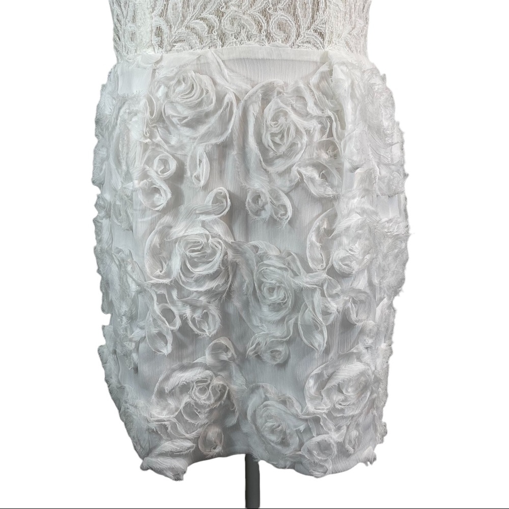 Rachel Roy Dress White Sheer Zipper Rosette, Size 6 - Picture 3 of 14
